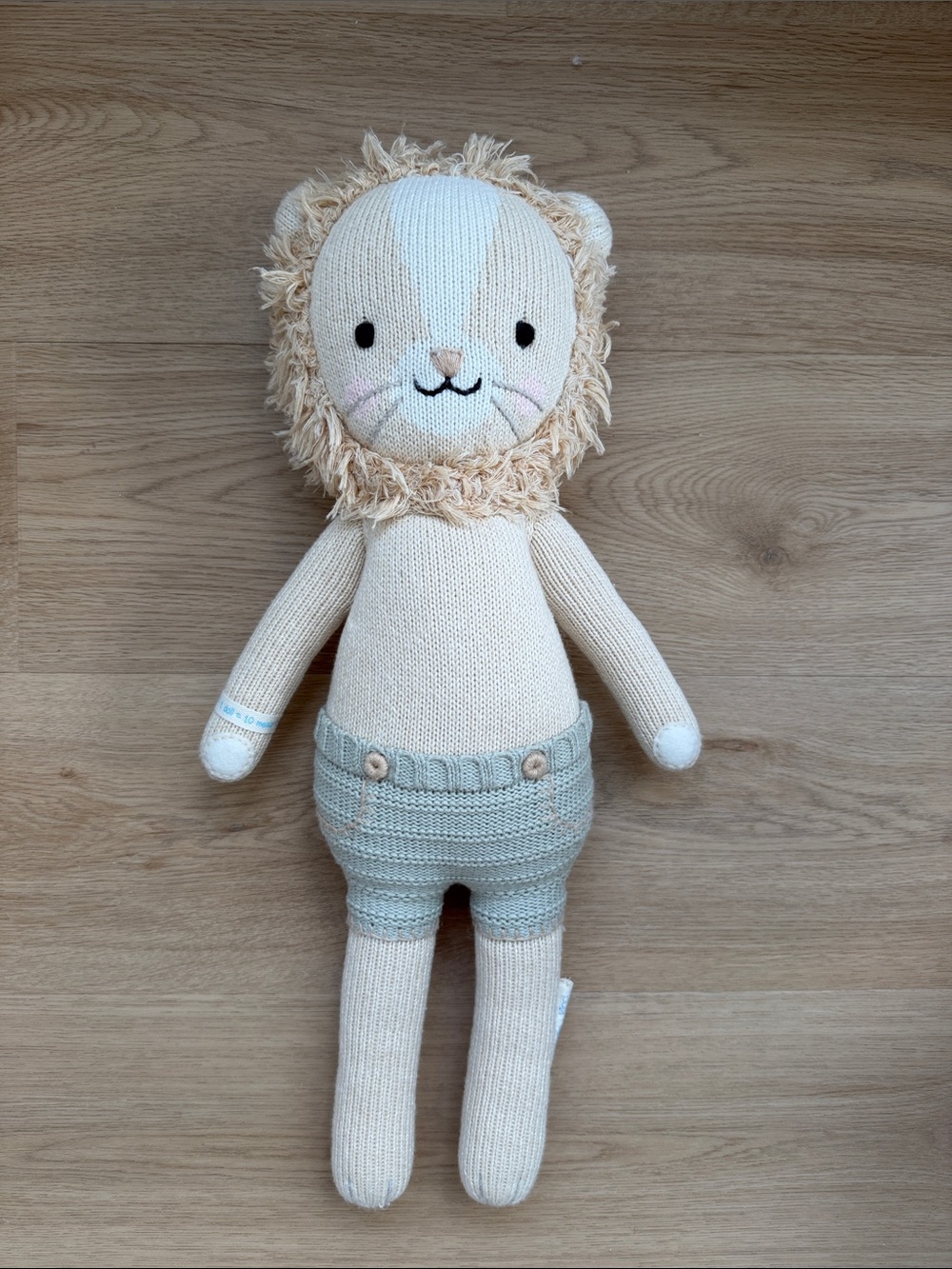 Cuddle & Kind Lion